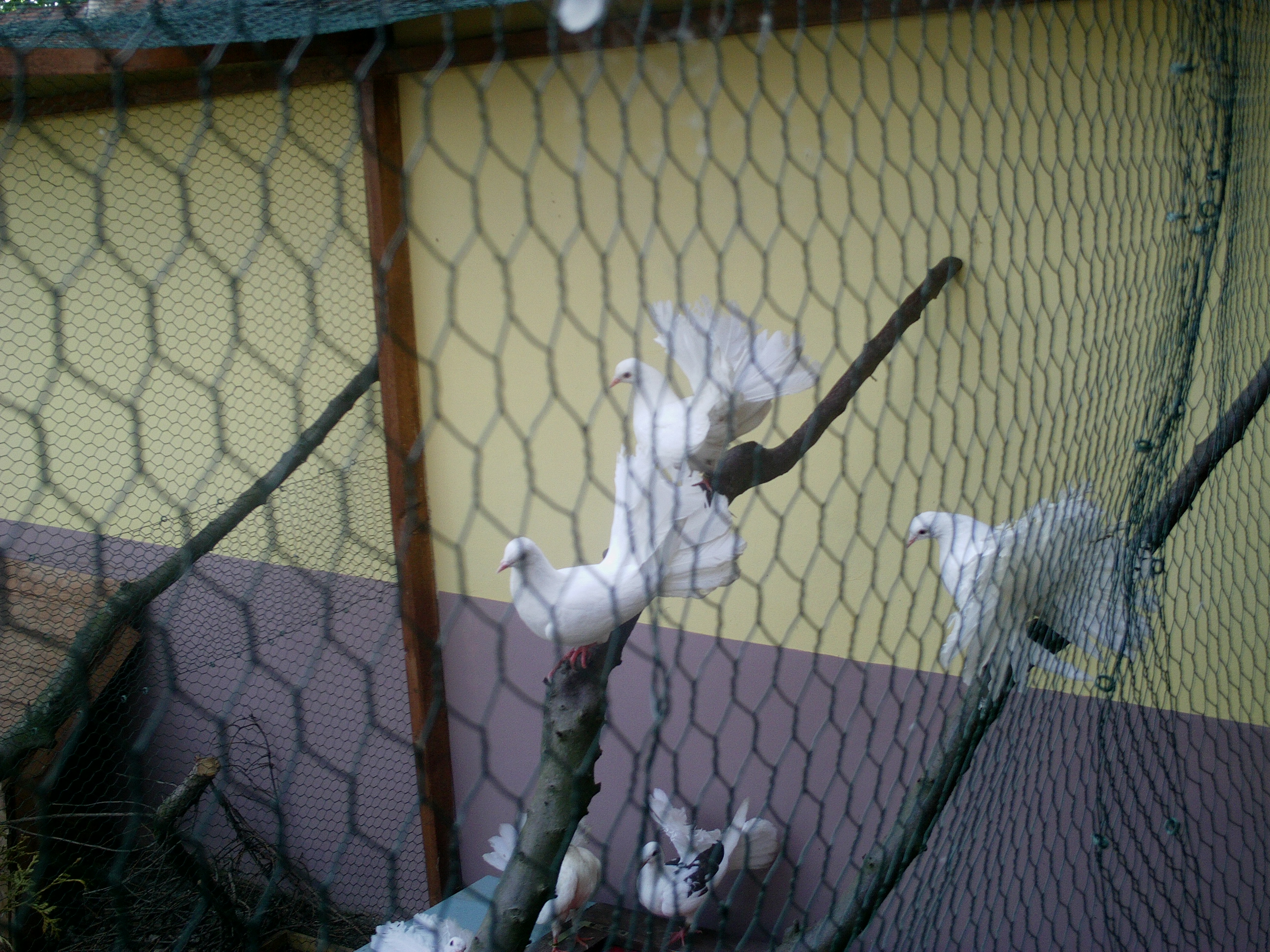 IMAG0116
