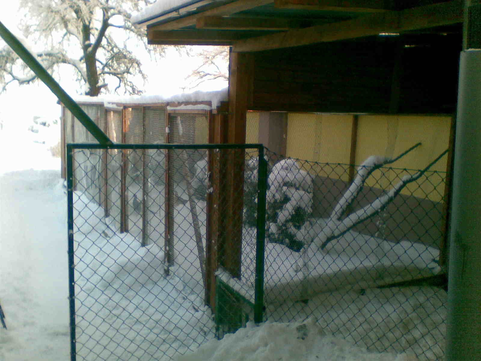 Obraz126
