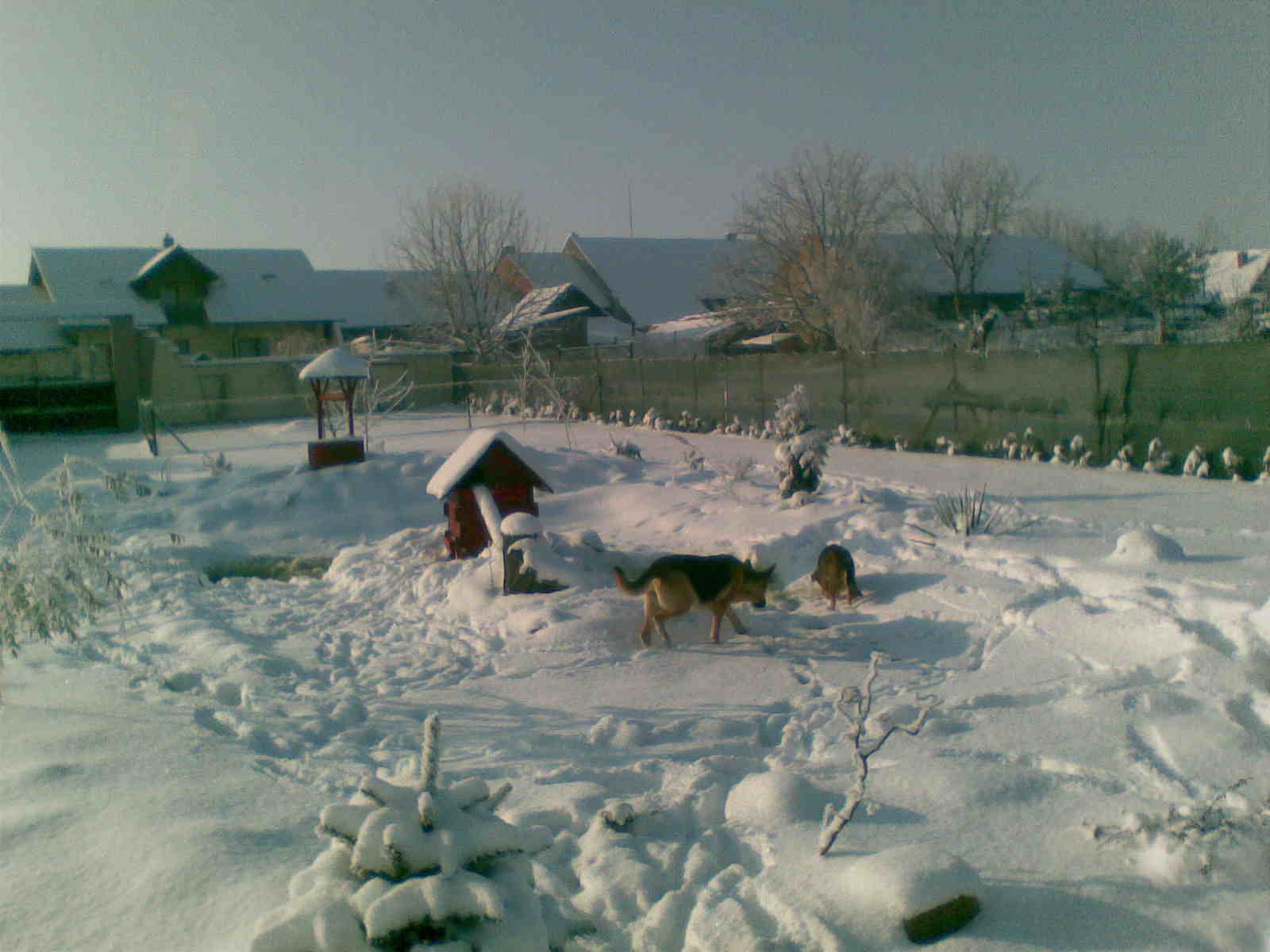 Obraz131